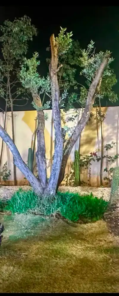 Villa premium meublée à louer au domaine golfique Noria — Route de Tahanaout, Marrakech — Photo 18